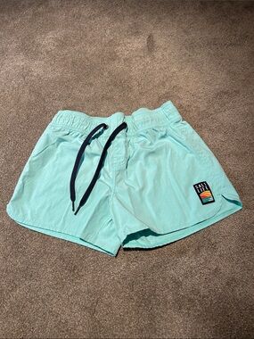 Salt Life Mint Swim Trunks with Navy Drawstring